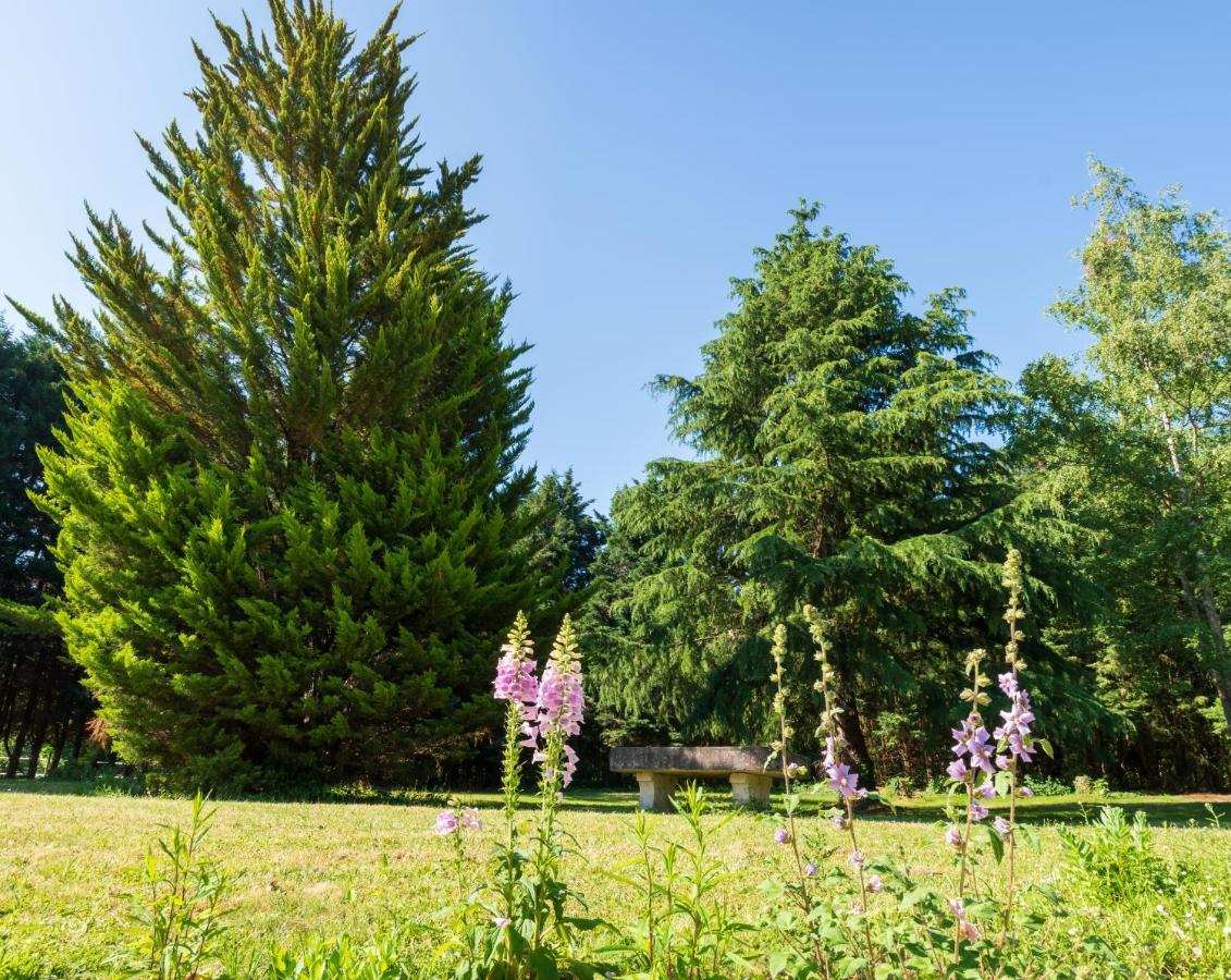 Les Gites D'Halatte Fleurines Exterior foto