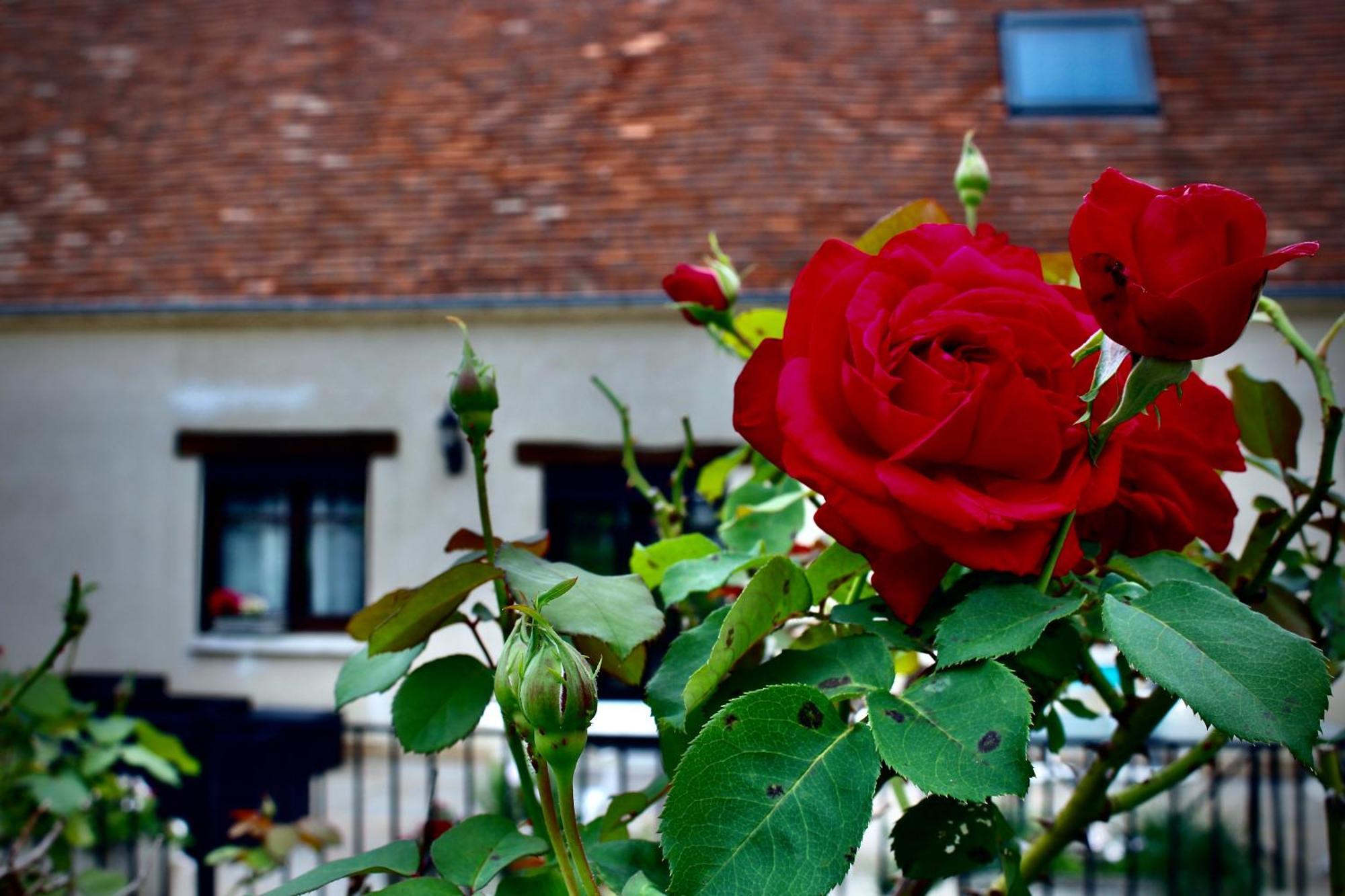 Les Gites D'Halatte Fleurines Exterior foto